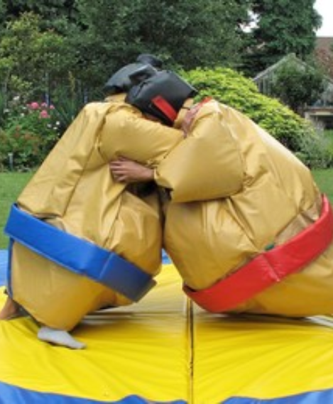 Sumo Wrestling Suits